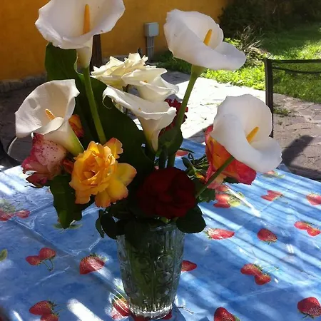 Sinequaroma Guest house Casal Palocco