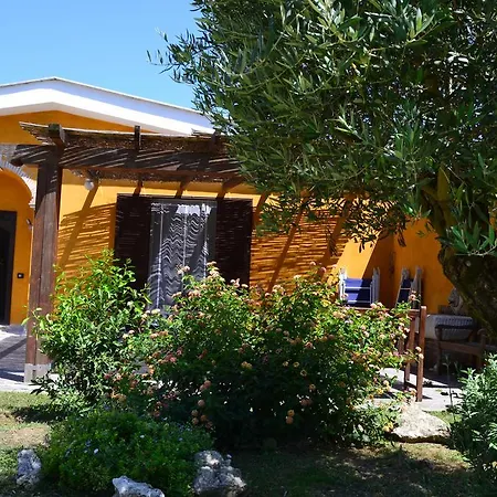 Guest house Sinequaroma 2*