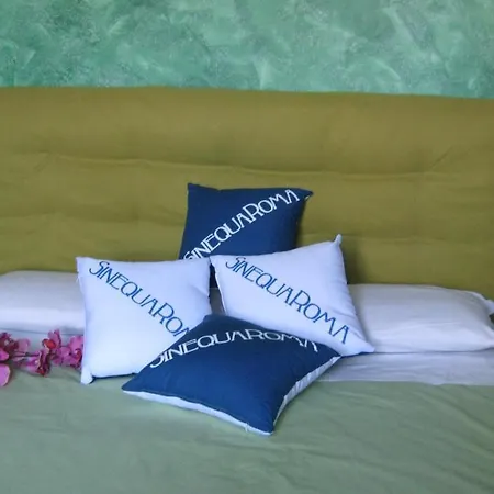 Sinequaroma Guest house 2*
